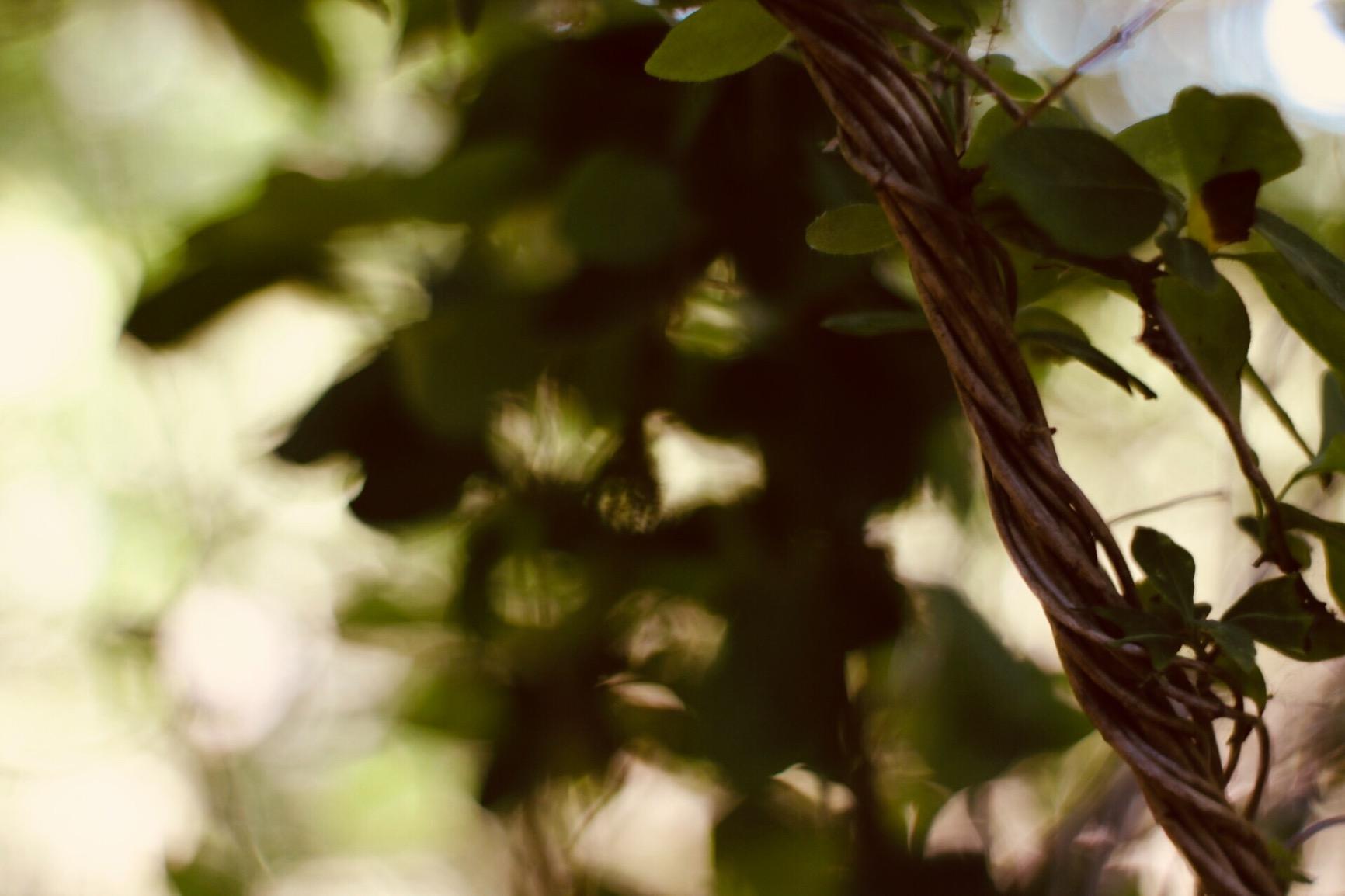 Super lens at an unbeatable price!